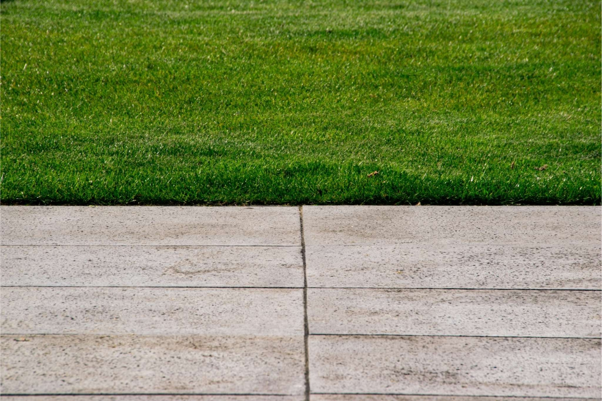 Graszoden laten aanleggen of zelf leggen Hoofddorp