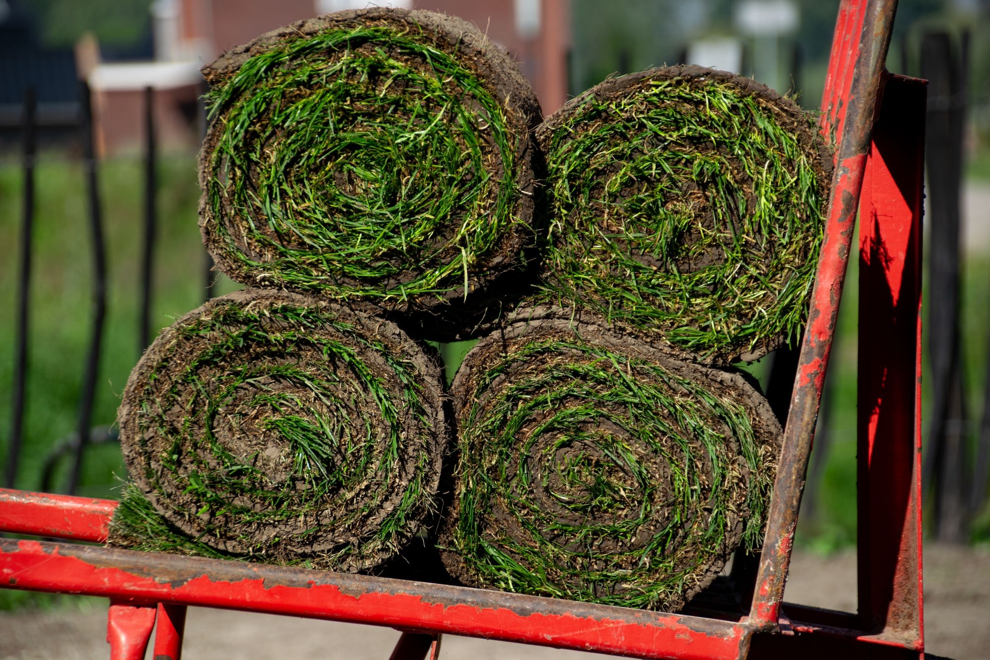 Grasmatten aanleggen
