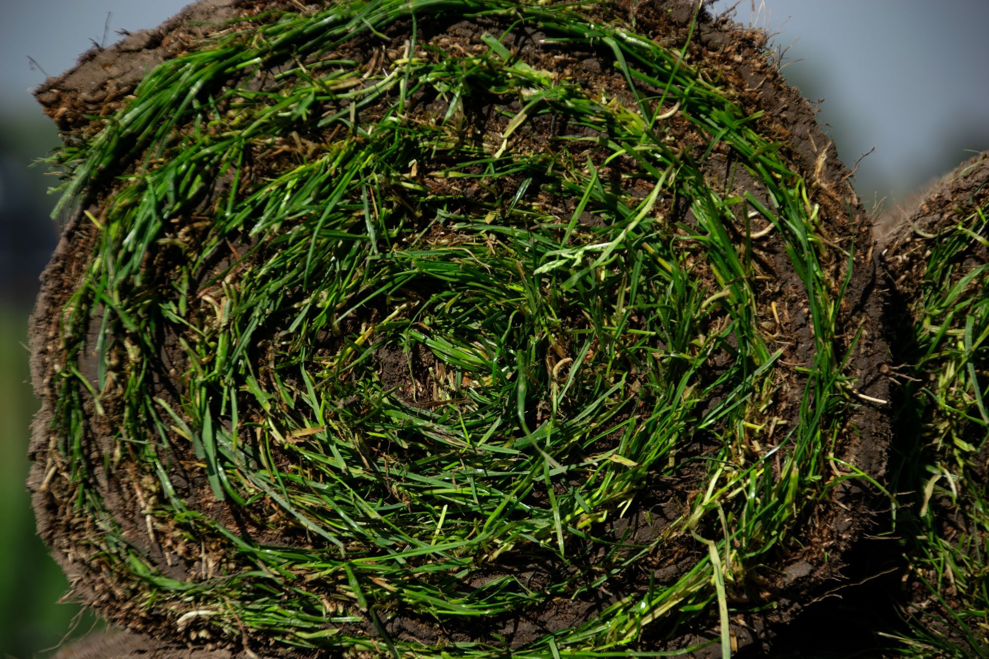 Graszoden laten leggen Dijk en Waard