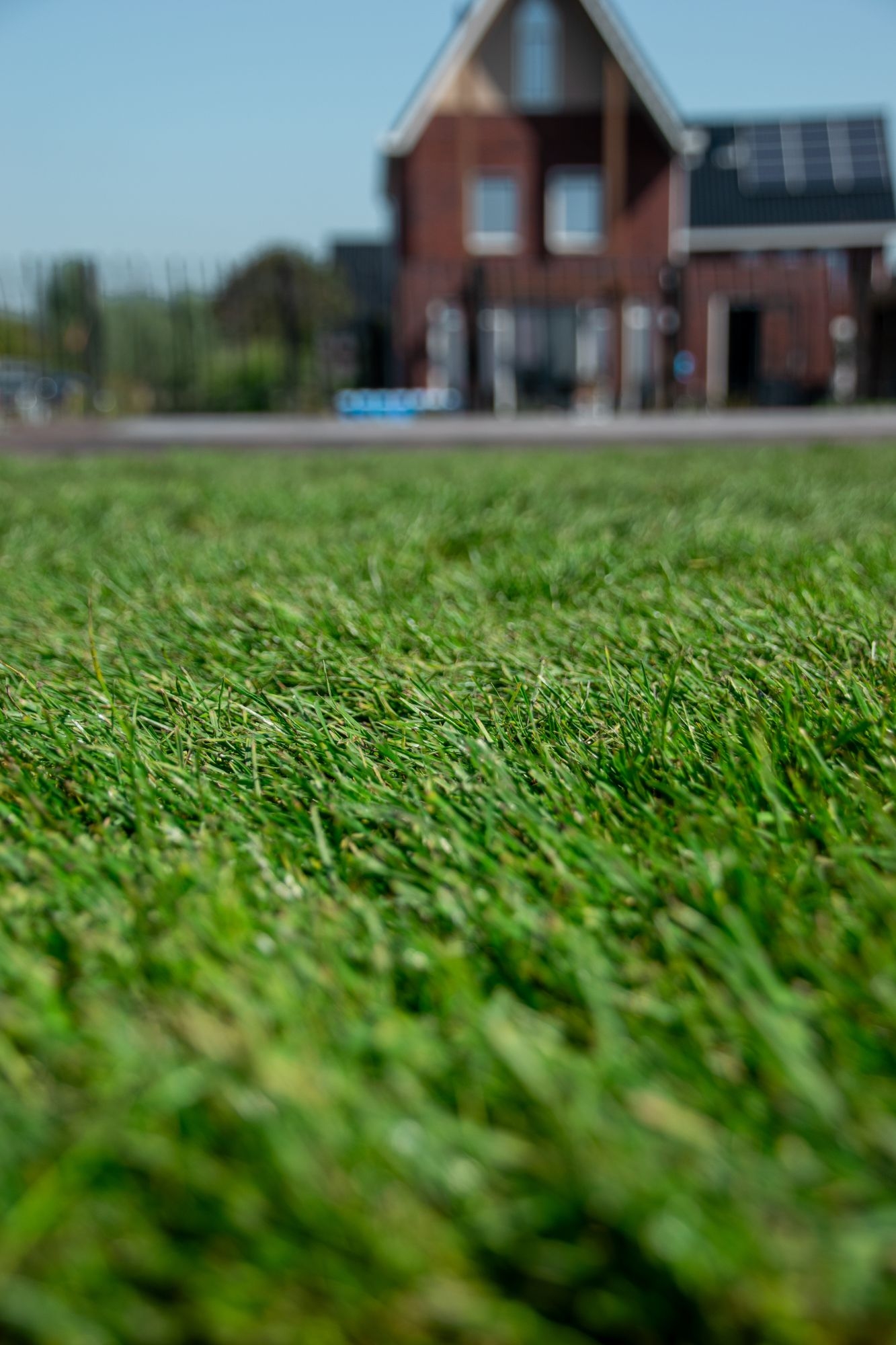 Graszoden laten aanleggen of bestellen in Heemskerk