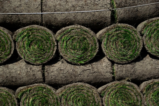 Gras herstellen: tips voor een mooi gazon