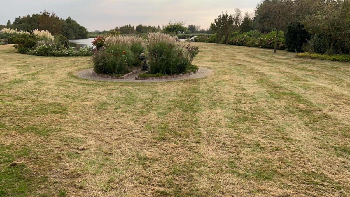 Geverticuteerd gazon met graszaad en mestkorrels op dezelfde dag gestrooid