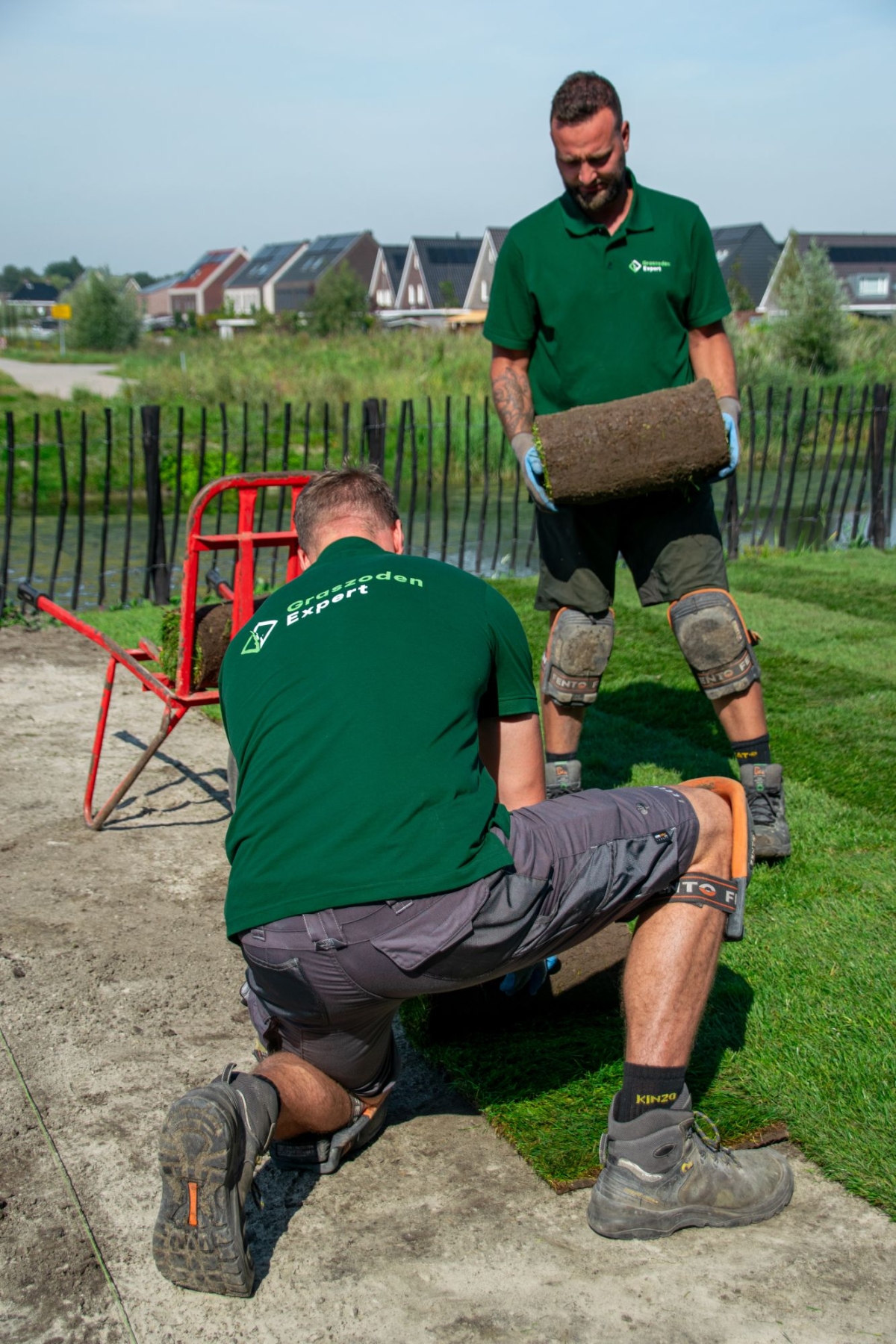 grasmat groen en gezond houden