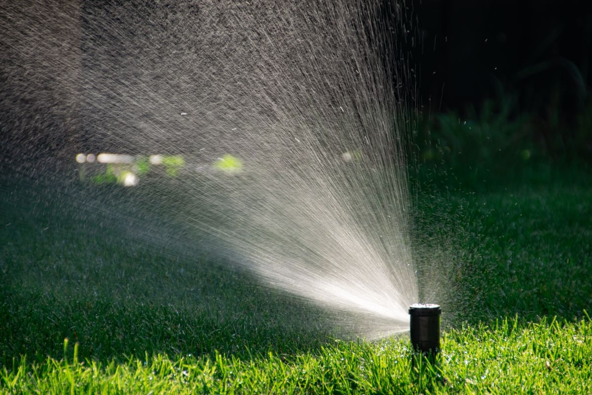 Gras bewatering groener gras