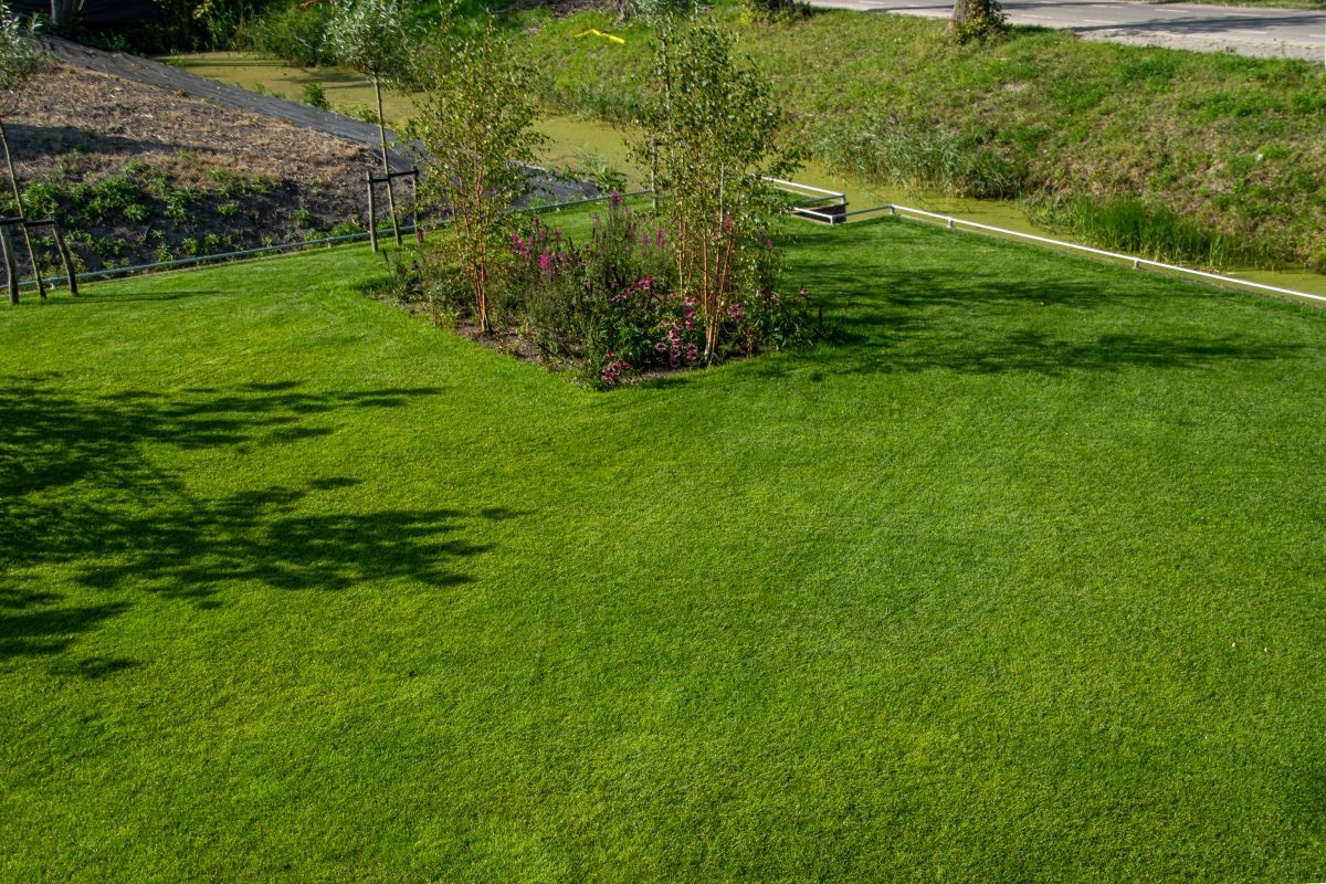 groen gazon tuin