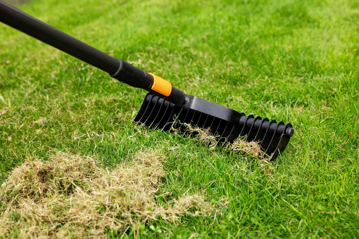 Verticuteerhark in actie