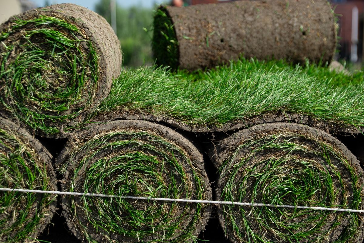 grasmatten laten leggen