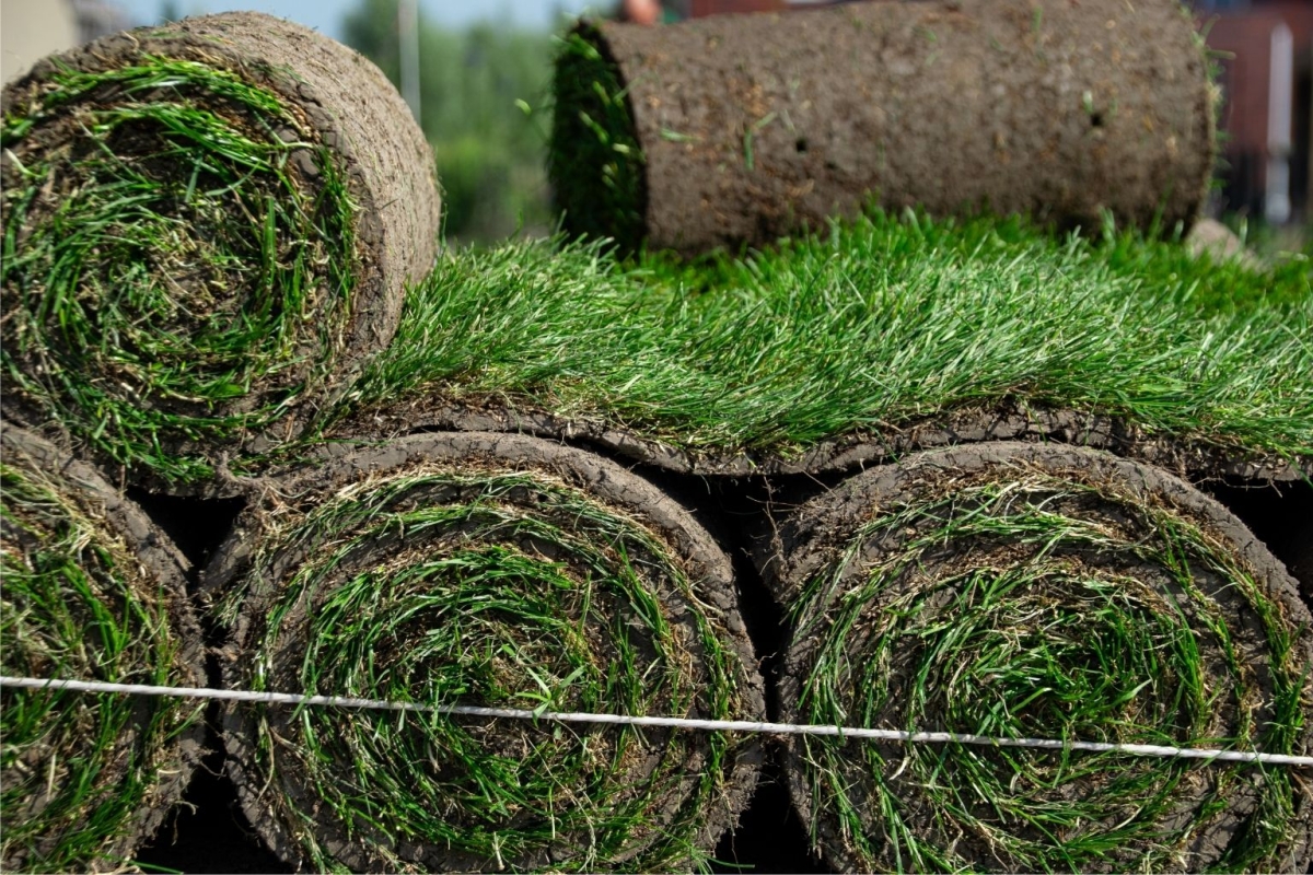 Graszoden in Hoofddorp