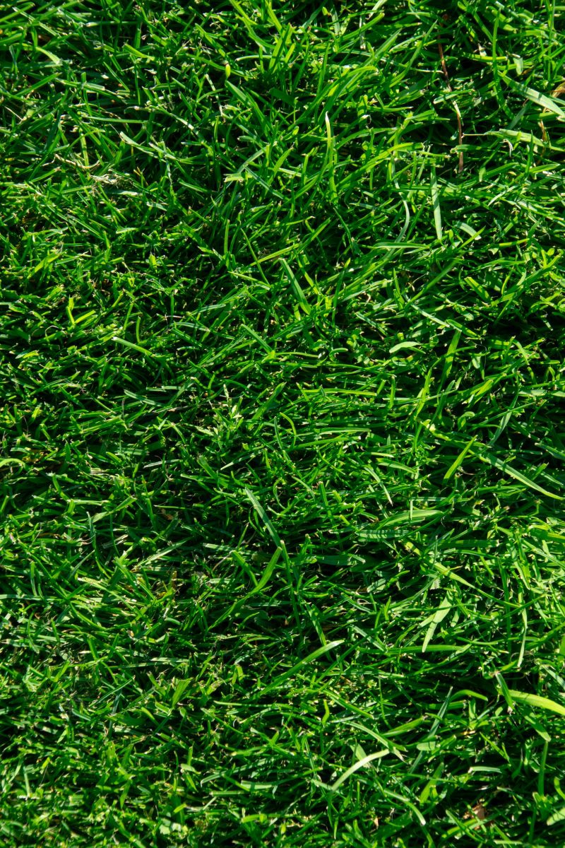 Grasmatten online bestellen