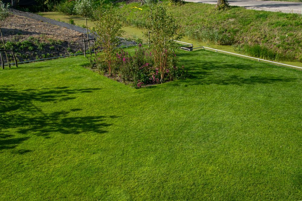 Graszoden bestellen kosten