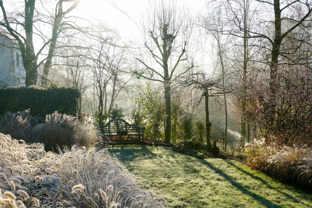 Winters gazon met lichte rijp aan de randen, groen gras, kale bomen op de achtergrond