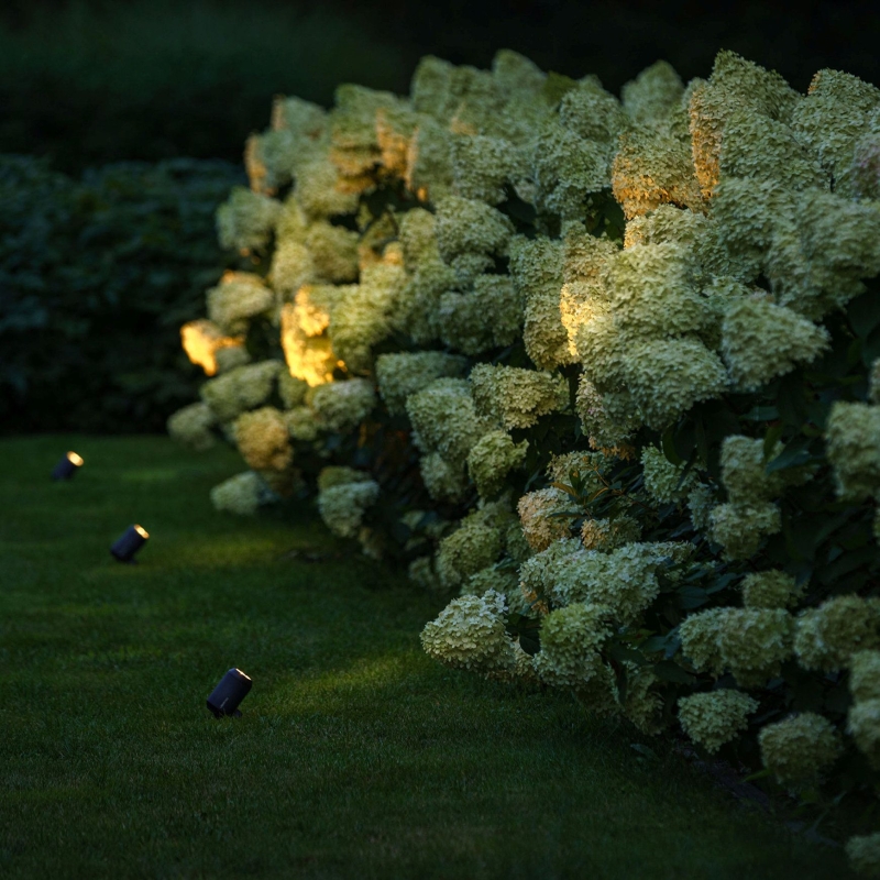 Lightpro Castor 4 spot 12V (5W)