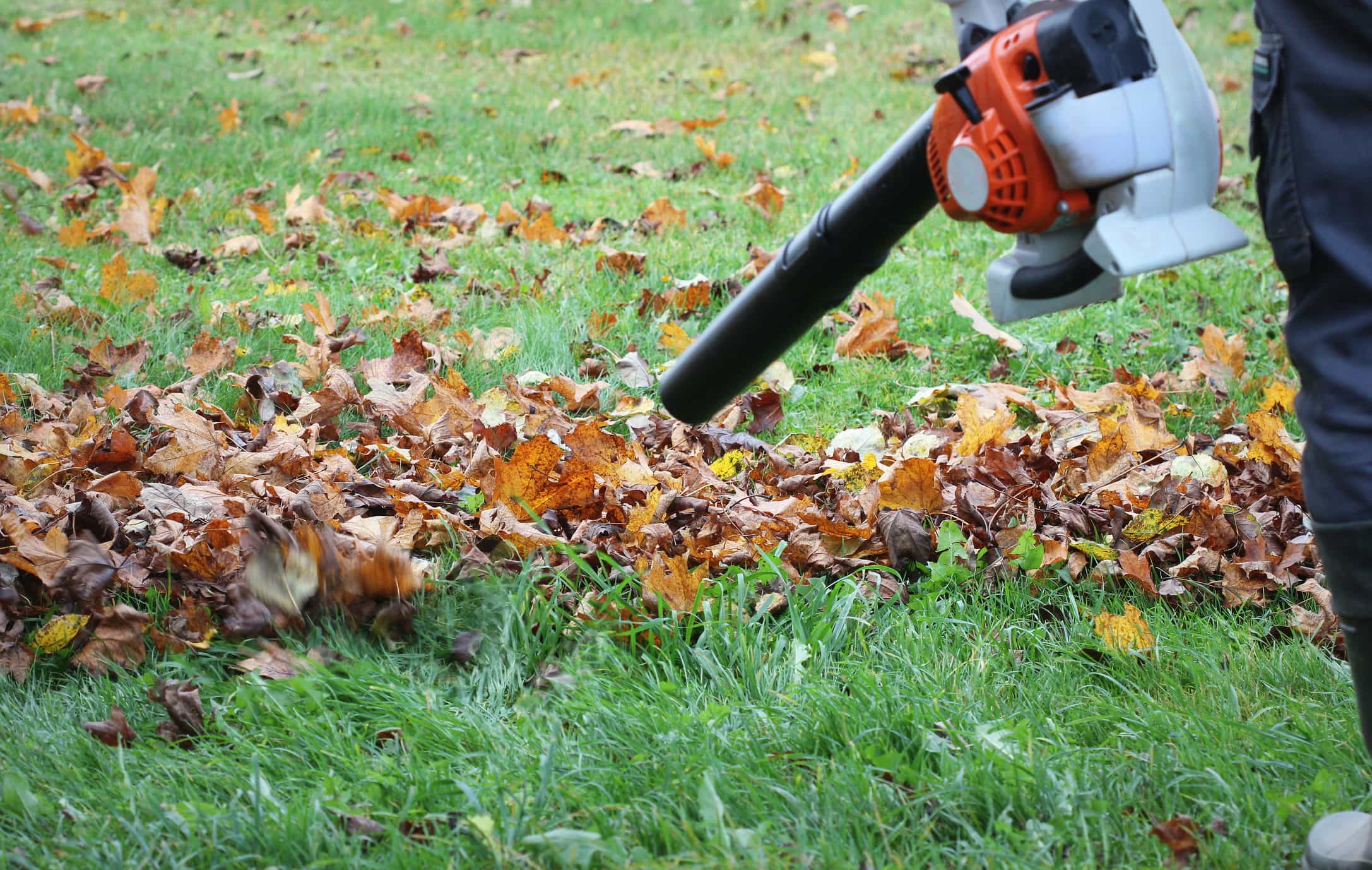 Herfstbladeren op een gazon worden verwijderd met een bladblazer
